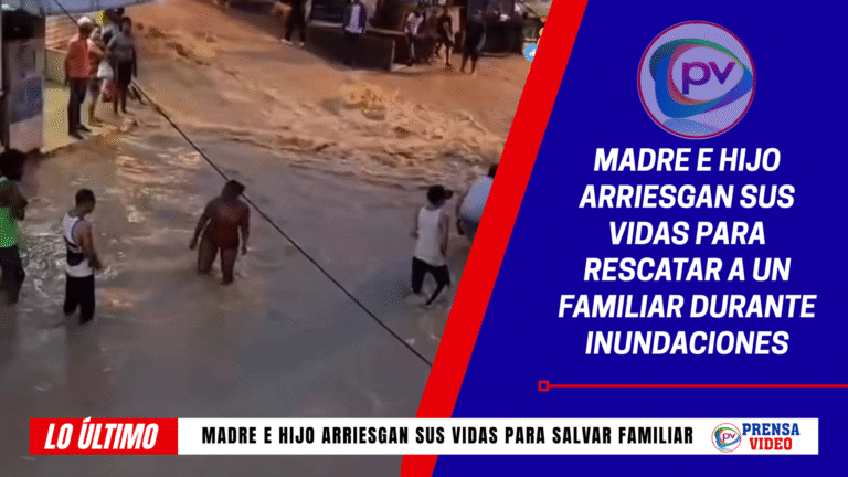 lo último (banner para blog)